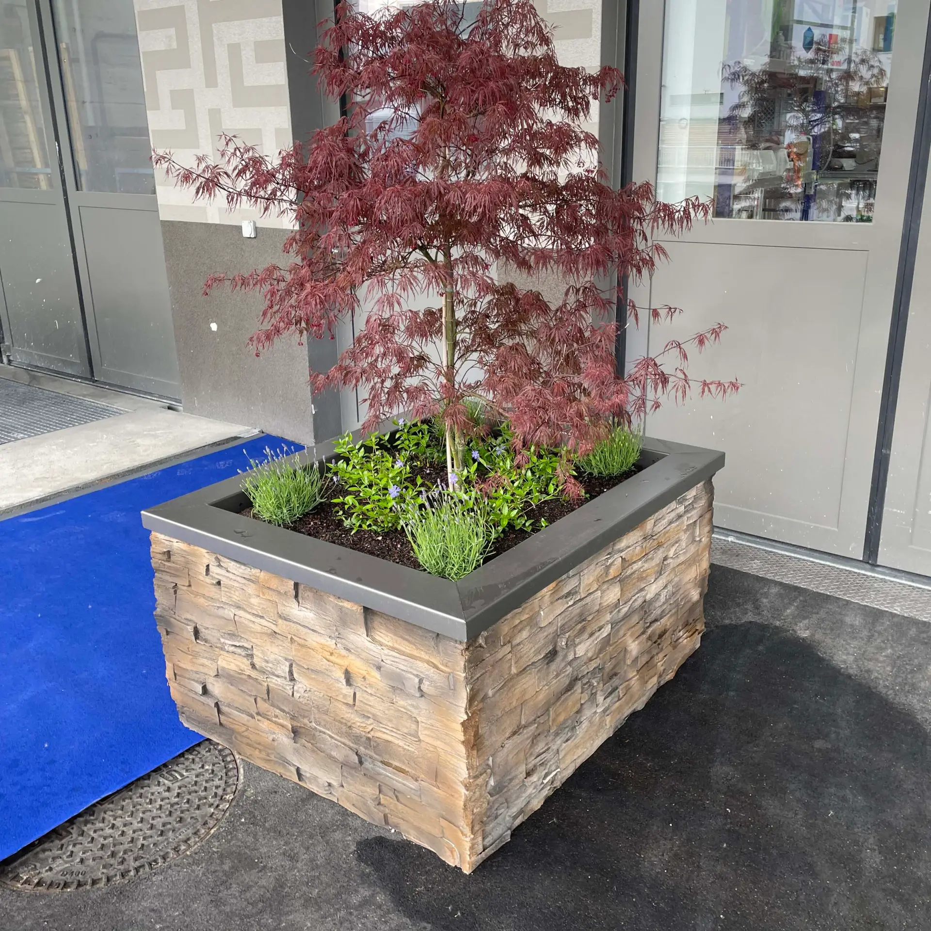 Hochbeet selber gestalten – Bild 3
